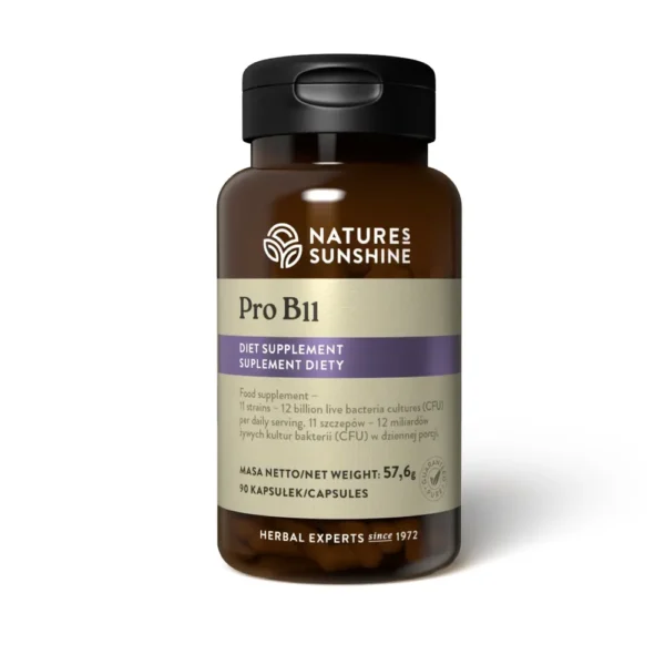 Pro B11 (90 kaps.)
