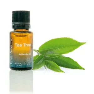 Essential Oil - Tea Tree (15 ml)