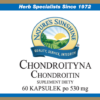 Chondroityna (60 kaps.)