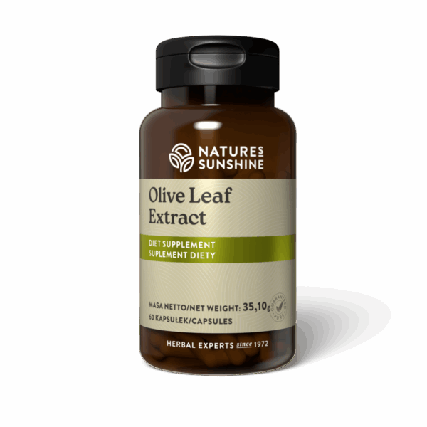 Olive Leaf - Ekstrakt (60 kaps.)